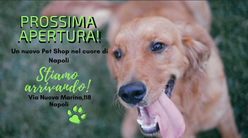 Images Un Cuore a 4 zampe