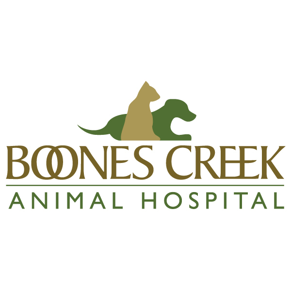 Boone's Creek Animal Hospital Logo