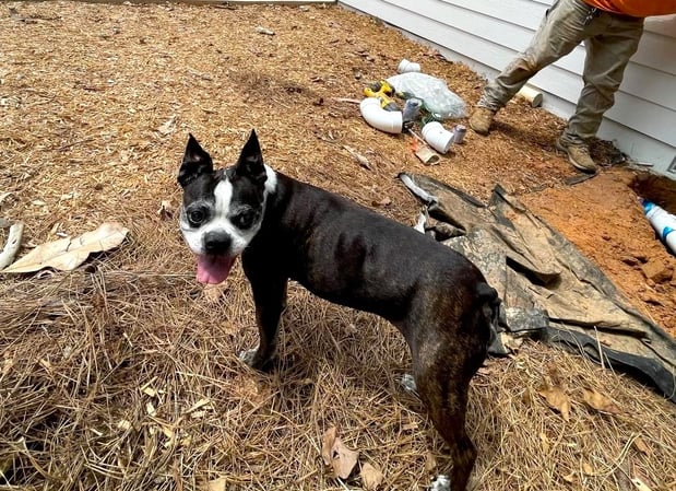 Images Sterling Park Properties