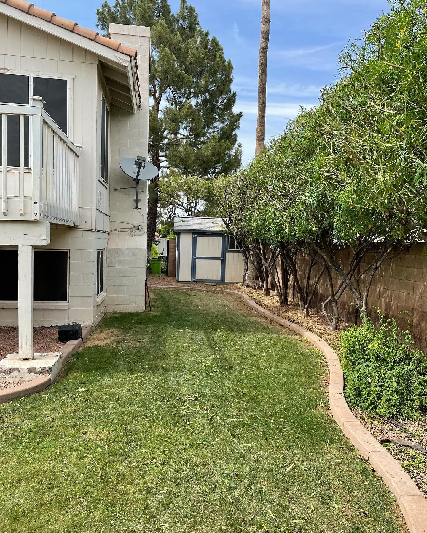 A well-maintained backyard with green grass, trimmed trees, a small shed, and a two-story house featuring a balcony.