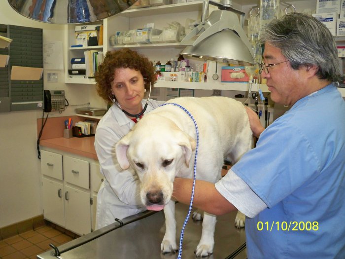 Images VCA Clarmar Animal Hospital