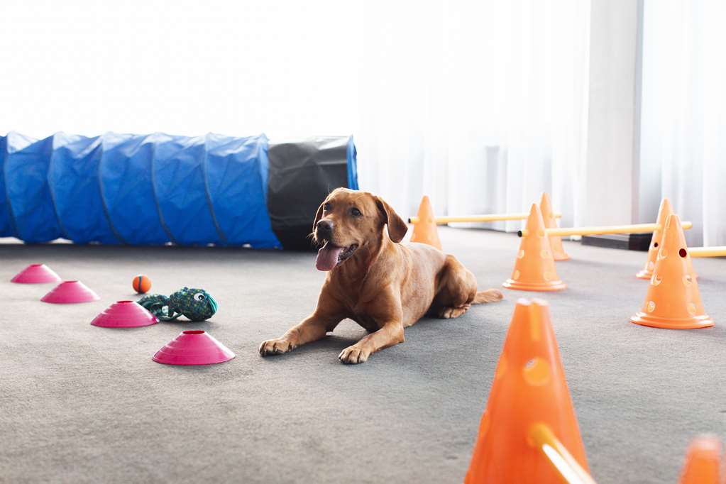 Images Radisson Blu Arlandia Hotel, Stockholm-Arlanda