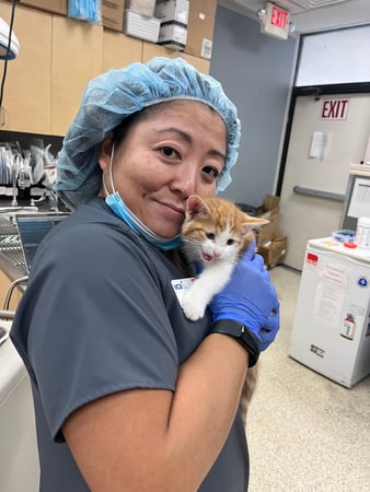 Images VCA All Pet Animal Hospital/Taylorsville