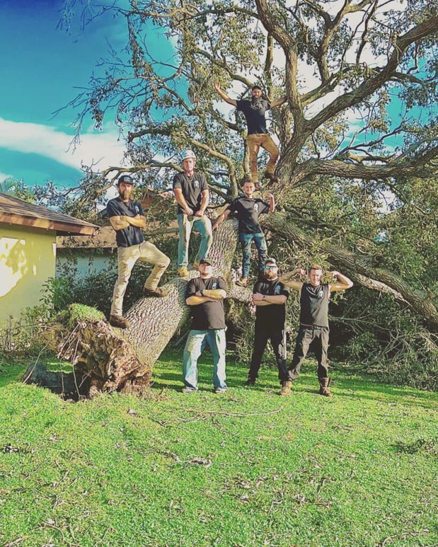 Images Against The Grain Tree Care