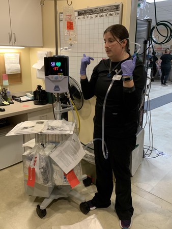 Images VCA SouthPaws Veterinary Specialists & Emergency Center