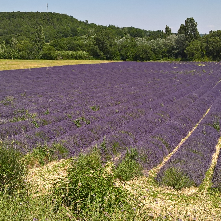 mes écrits Habillement