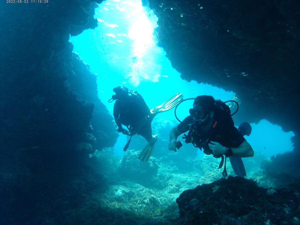 Images Starfish Diving Mallorca