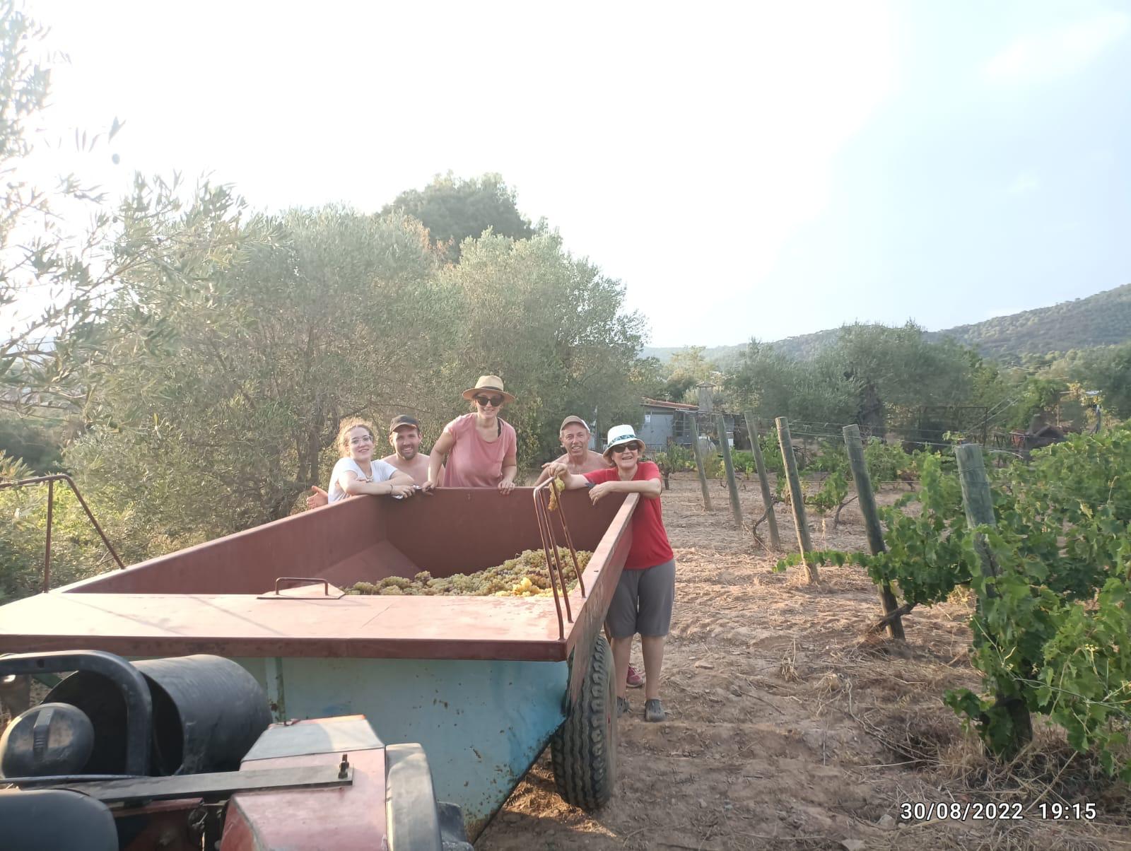 Images Apasitolento Viticultor