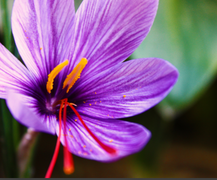 CT Canada Trade GmbH, Technologiepark 24 in Trittau