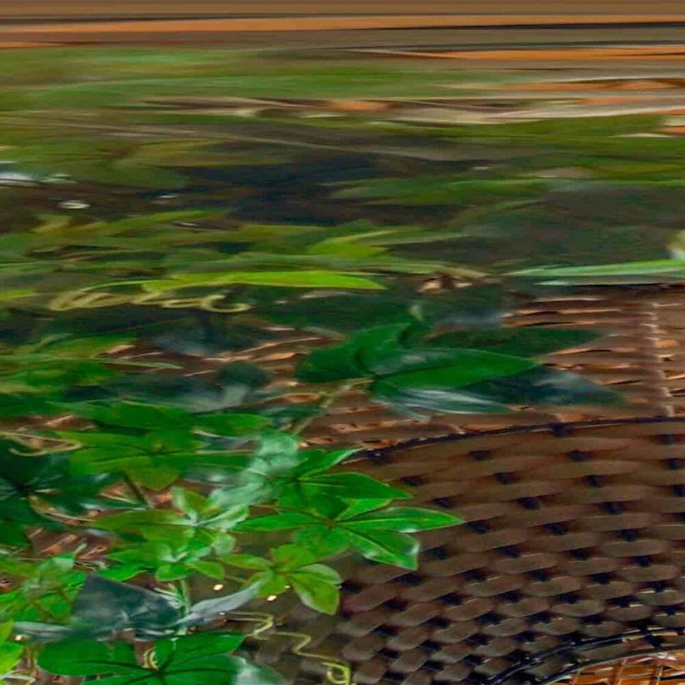 Wise Solution GmbH, Hemmelrather Weg 201 in Leverkusen