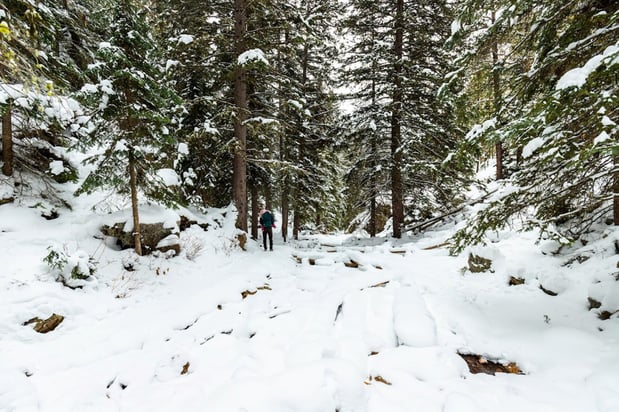 Images Staybridge Suites Great Falls by IHG