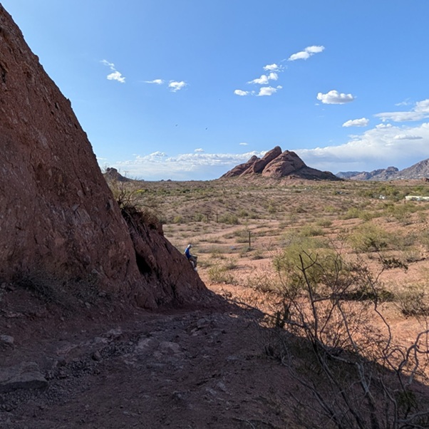 Invisible Fence® installed to protect pets in Pinal County, AZ