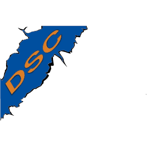 DSC Transports Sàrl Logo