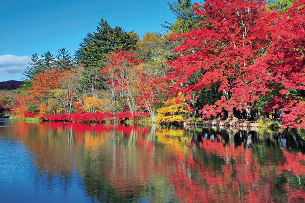 【長野県】豊かな自然が魅力的な長野の見どころ5エリアをご紹介！