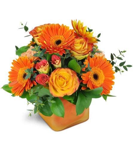 Images Rainbow Florist Designers