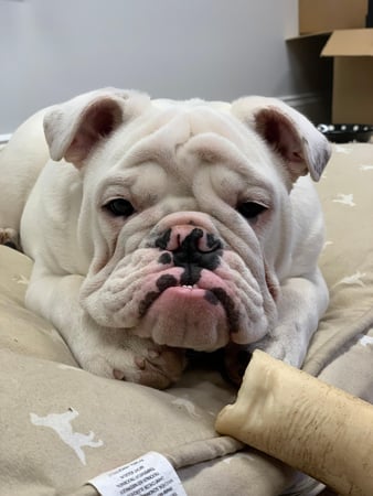 Images Newtown Insurance: Allstate Insurance