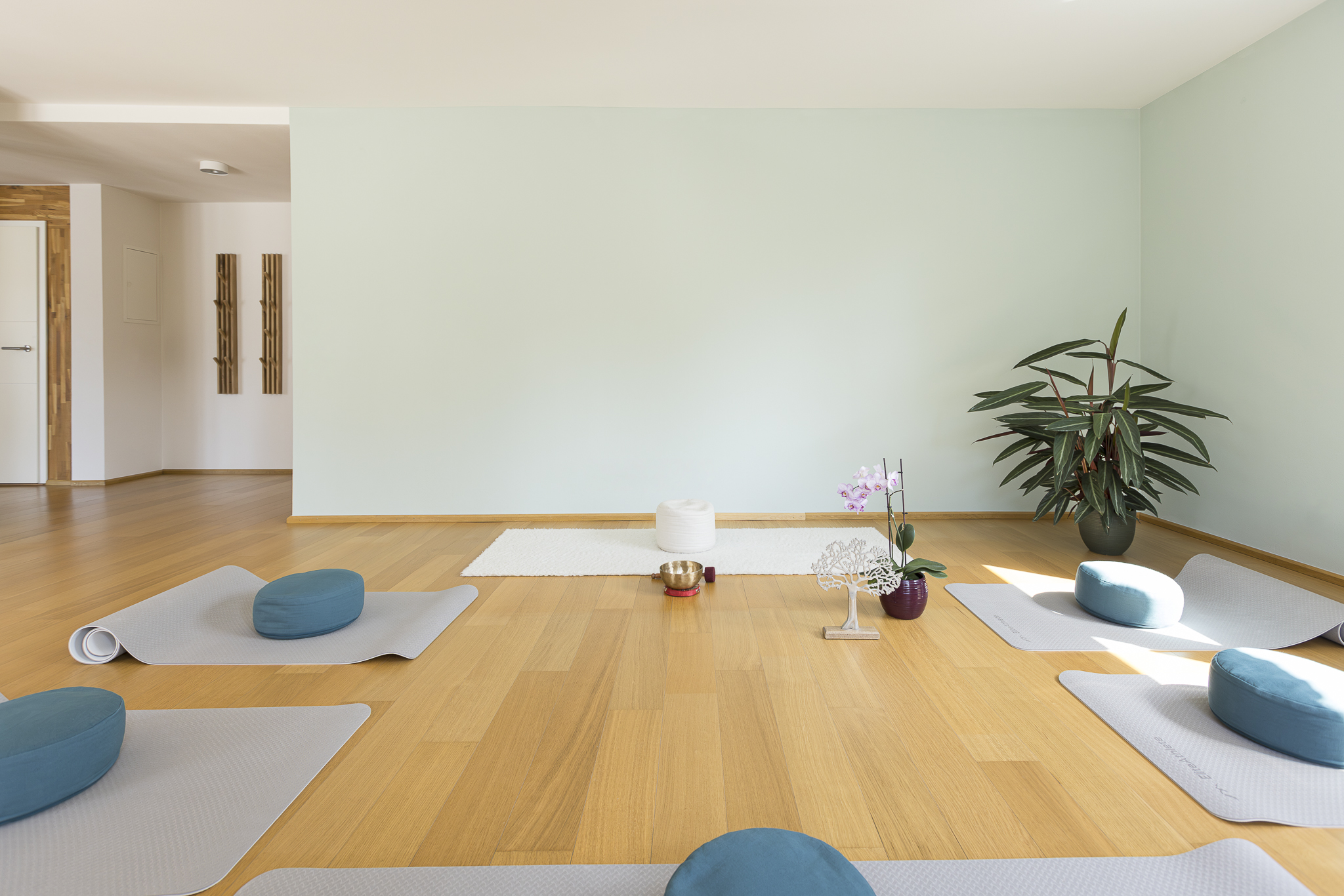 Julie Shimizu, Korngasse 20 in Dossenheim