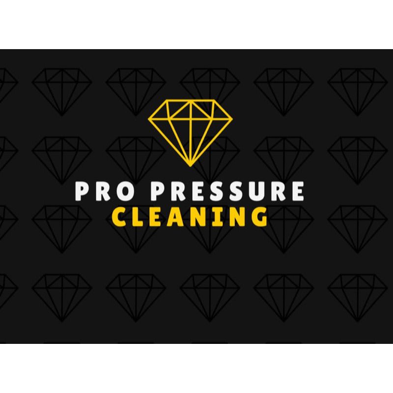 Pro Pressure Cleaning Ltd Logo