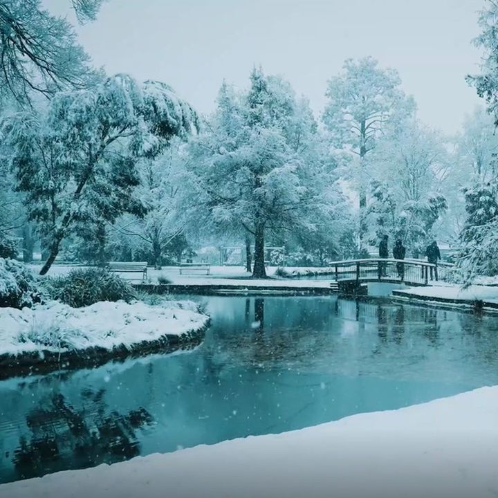 Images John Cook Real Estate