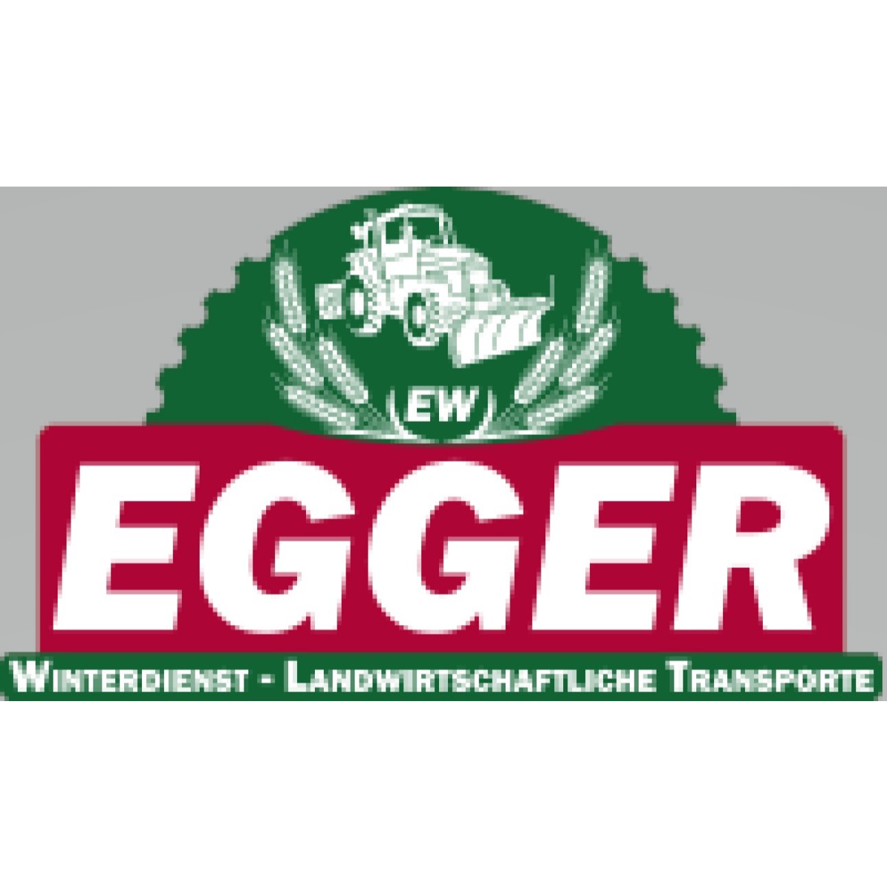 EW Service - Werner Egger Logo
