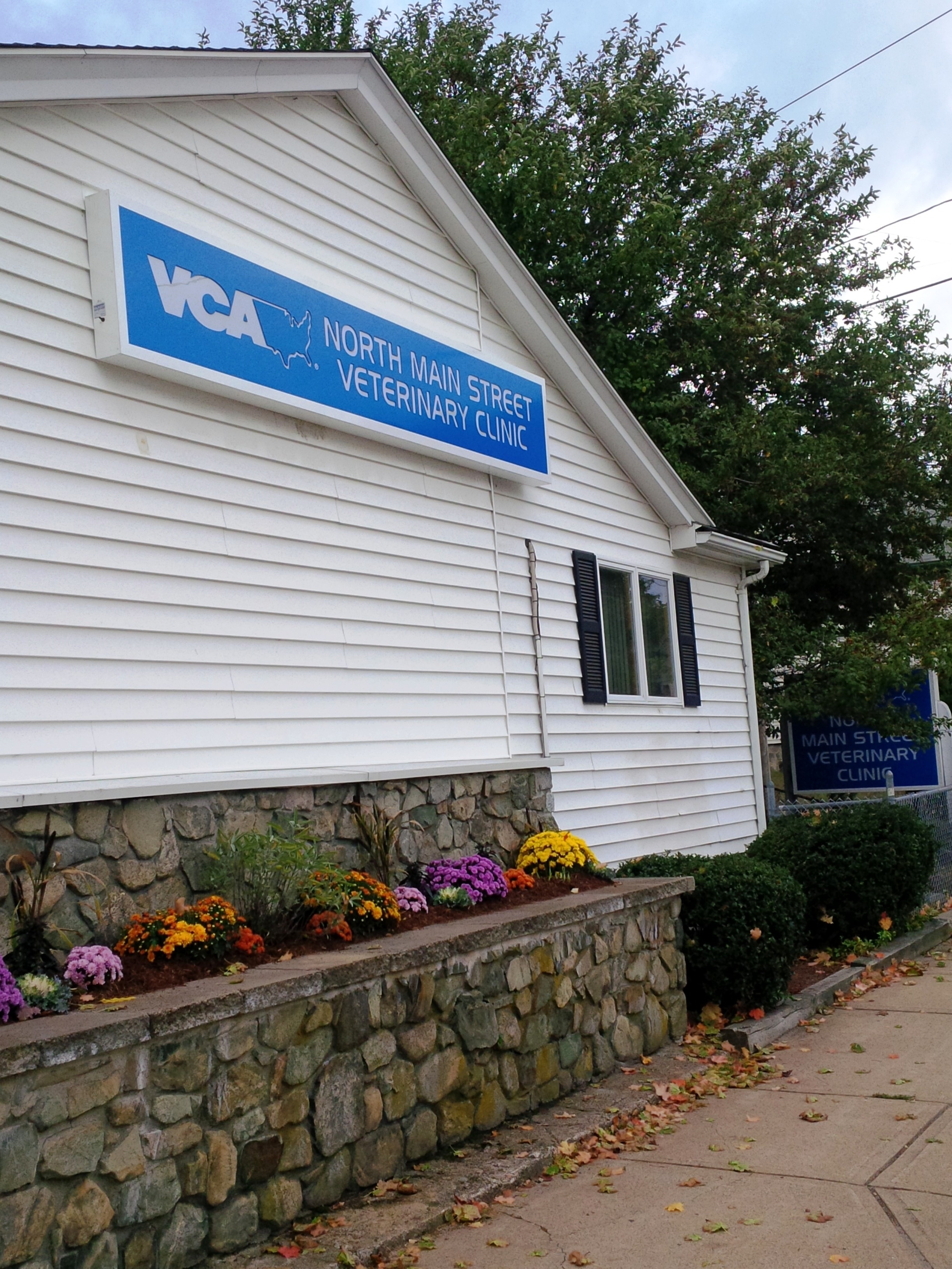 Welcome to VCA North Main Street Veterinary Clinic!