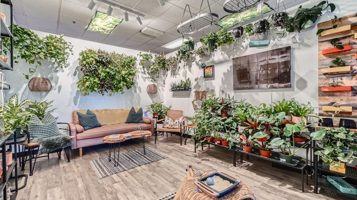 We are dedicated to providing the best plants in the Las Vegas Valley! Our team takes amazing care of our inventory to create a welcoming space until the plants make their way home with you!