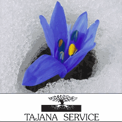 Tajana Service Sas Logo