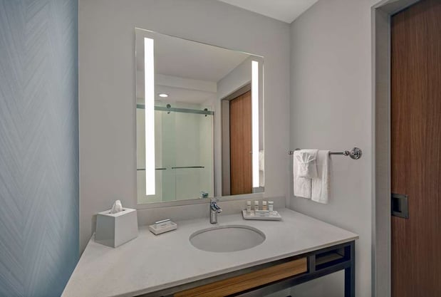 Images Hilton Garden Inn Houston Medical Center