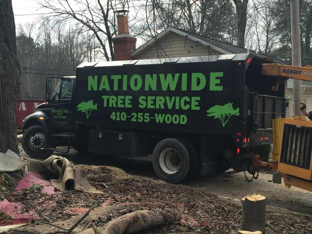 Images Nationwide Tree Service