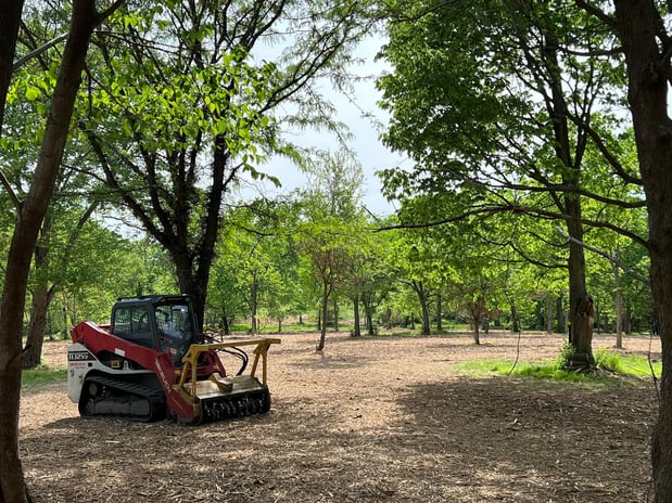 Images RED'S Forestry Mulching