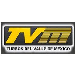 Turbos Del Valle De México Logo