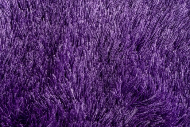 Images Absolute Flooring