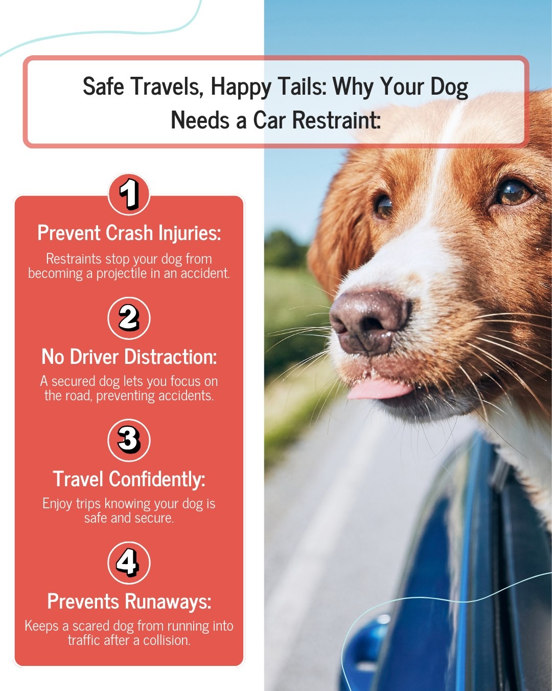 Your furry co-pilot deserves a safe ride every time. Car restraints aren’t just about preventing distractions—they’re about ensuring your pup stays secure during every adventure.
And while you’re thinking about their safety, don’t forget about pet insurance. From accidents to unexpected vet visits, it’s one way to care for your four-legged family member beyond the road.