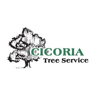 Cicoria Tree and Crane Service Groveland Logo