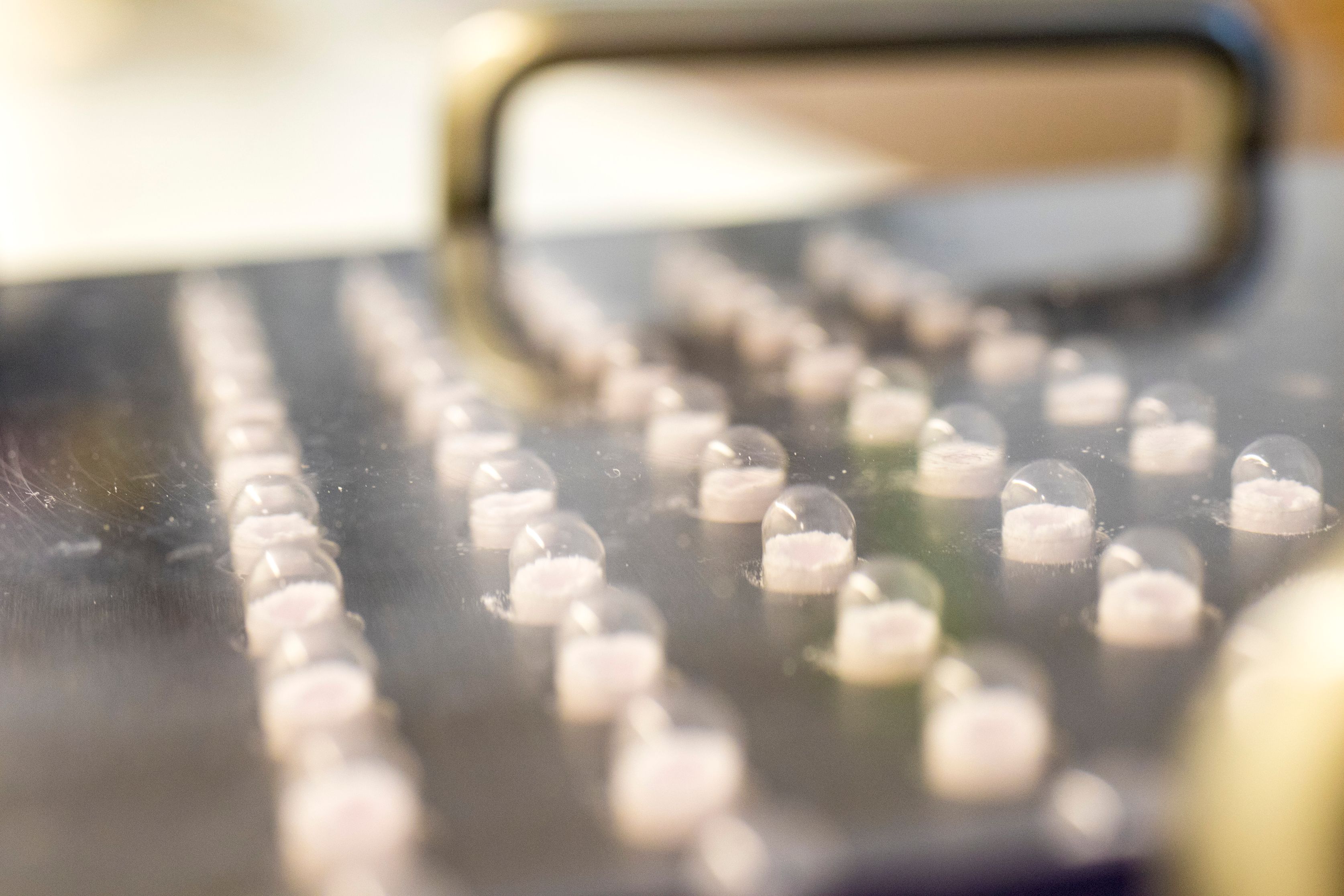 Bilder Apotheke-Drogerie-Reformhaus Kuhn AG - Ihre Apotheke in der Region Brugg AG