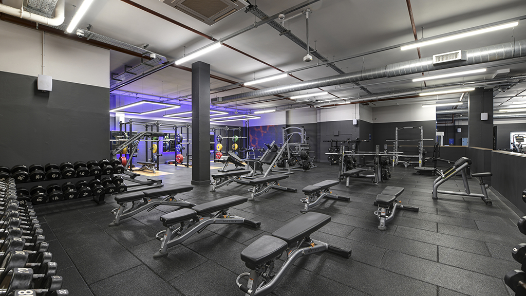 Free Weights Area