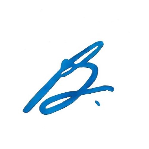 Bill Lovell Insurance, Inc Logo