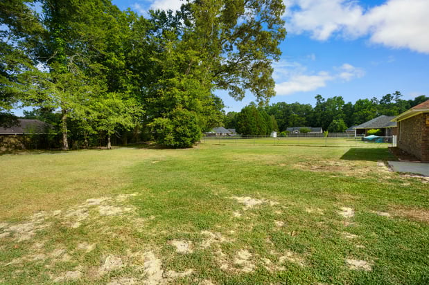 Images Beth Tamminga, eXp Realty, LLC - Columbia (SC)