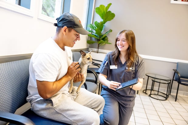 Images VCA Castle Hills Companion Animal Hospital