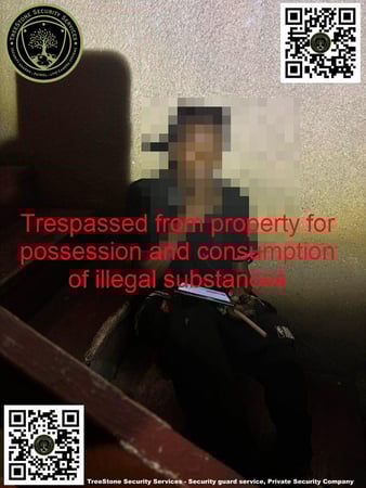 Images TreeStone Security Services