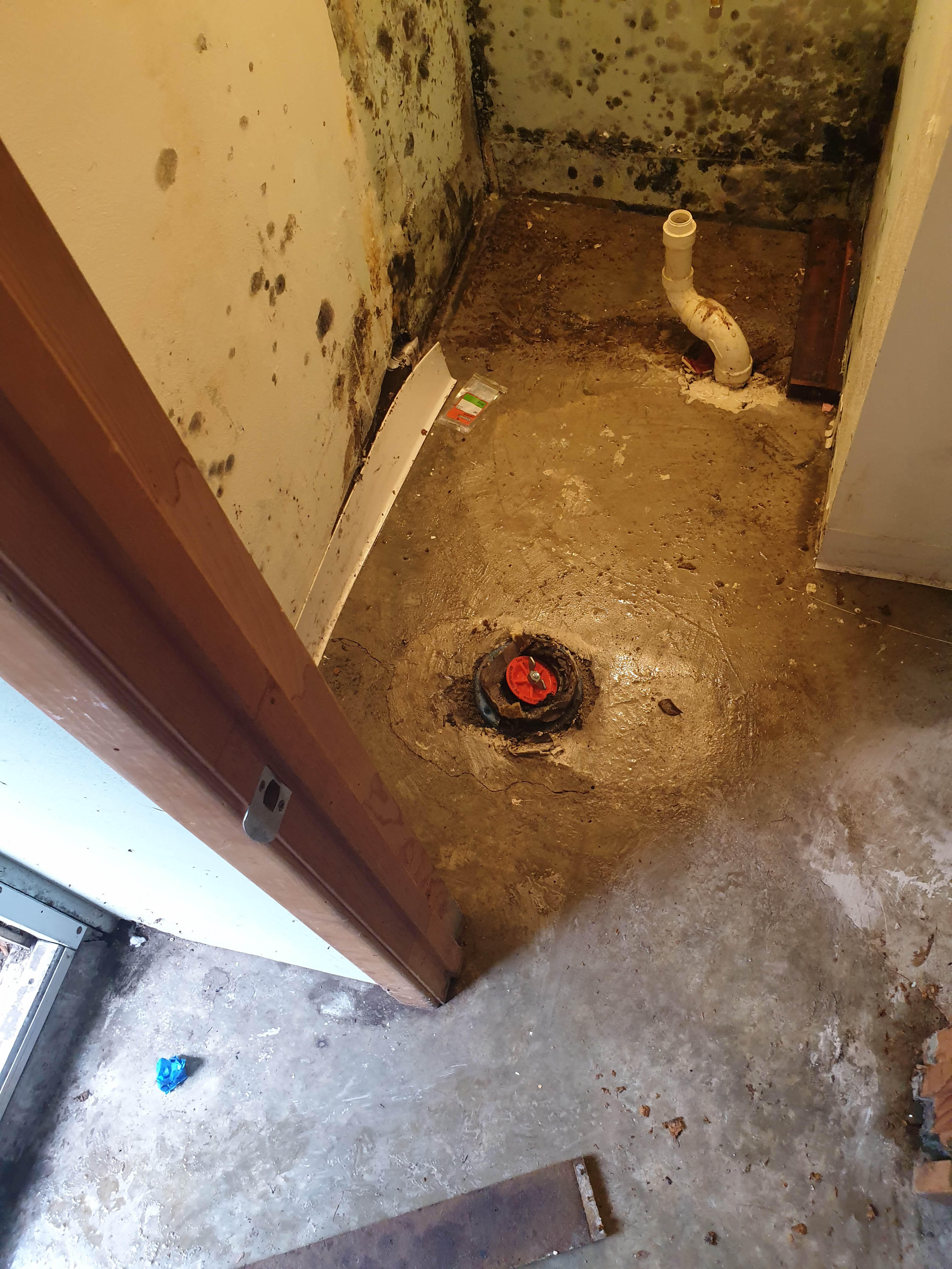SERVPRO of St. Louis County NW is equipped to handle any kind of restoration emergency in Bridgeton, MO. Any significant emergency involving mold cleanup can be handled by our highly skilled team. Reach out to us at any moment!