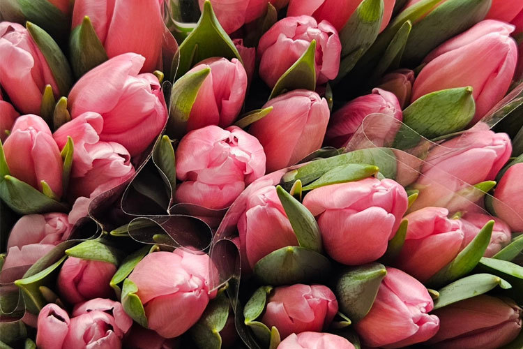 Images BLOMSTERBUA SELFORS AS