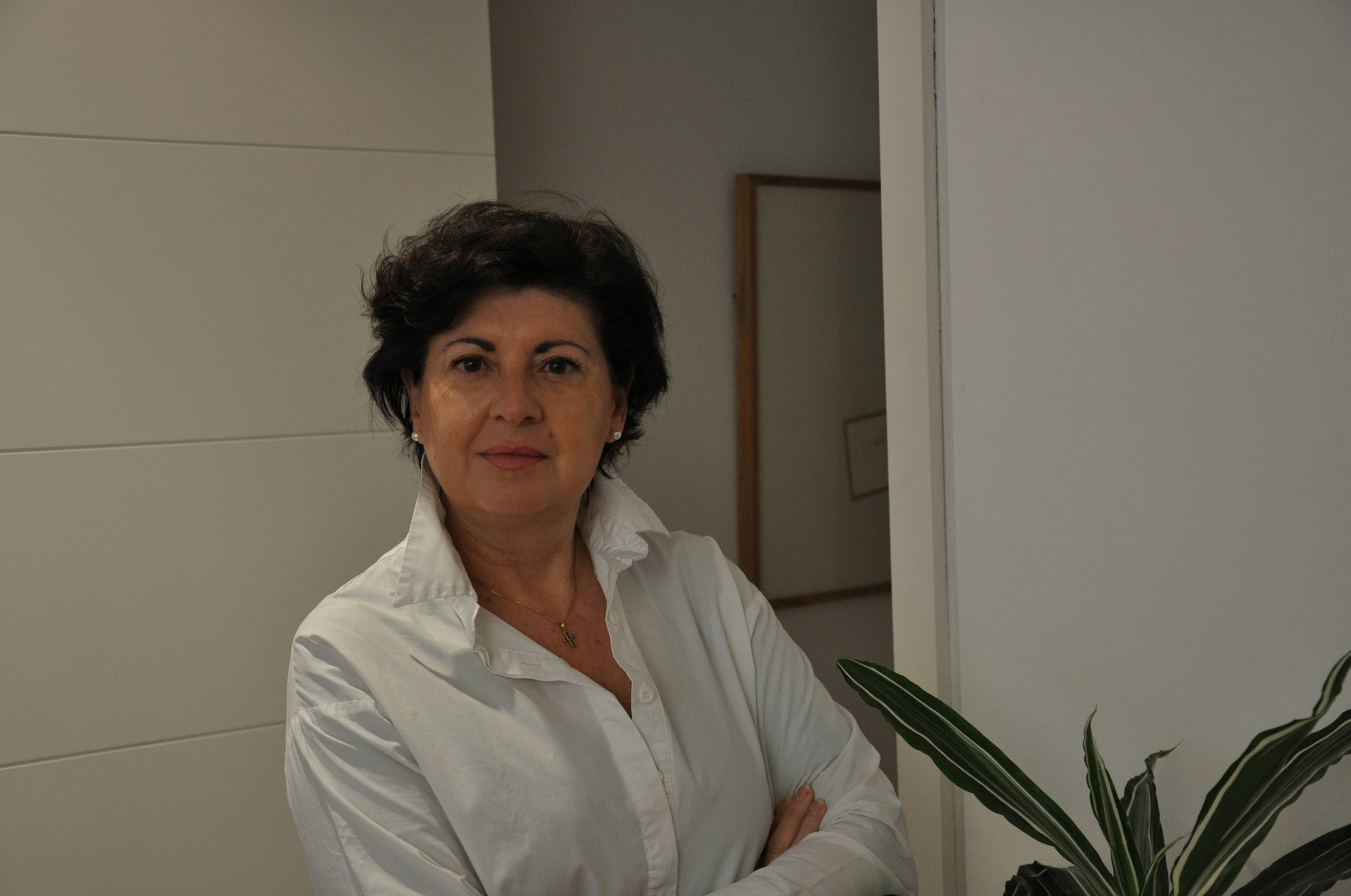 Procurador Cristina Dapena Fernández Santander