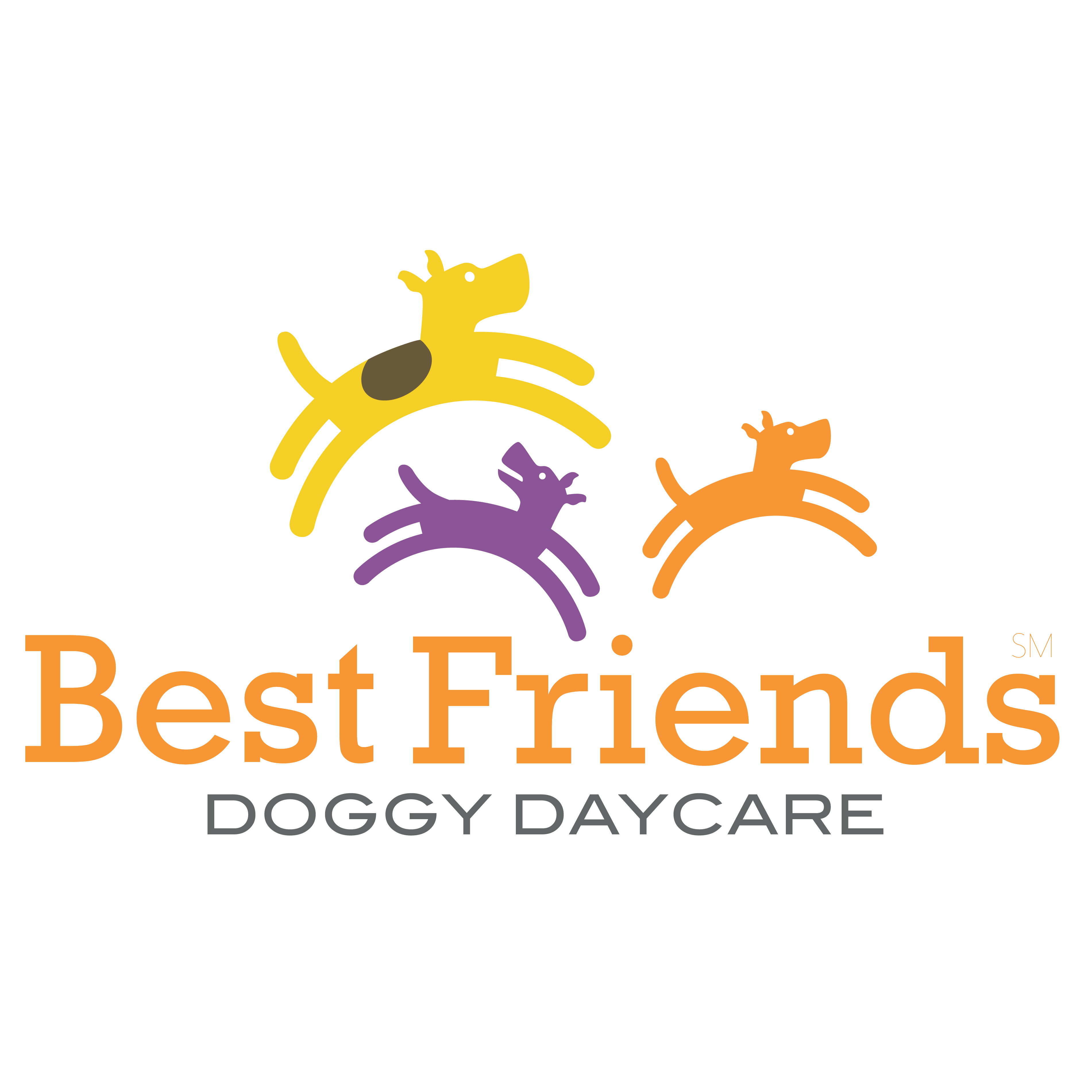 Best Friends Doggy Daycare