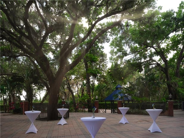 Images Hilton Garden Inn Tampa East/Brandon