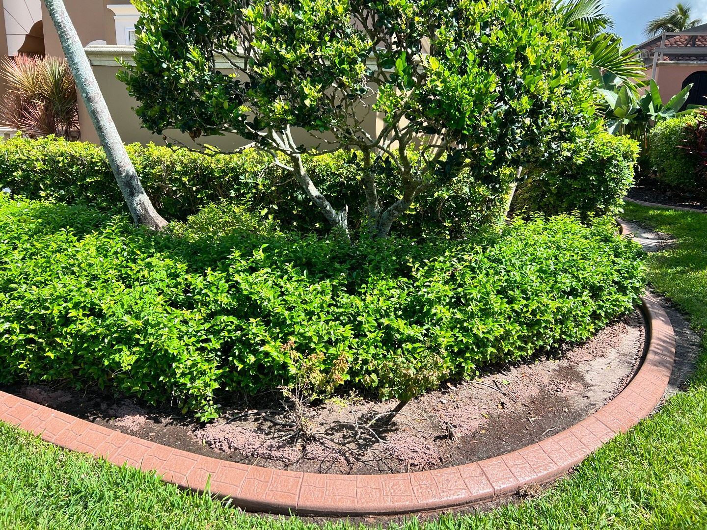 Surface Pro Concrete Solutions Image