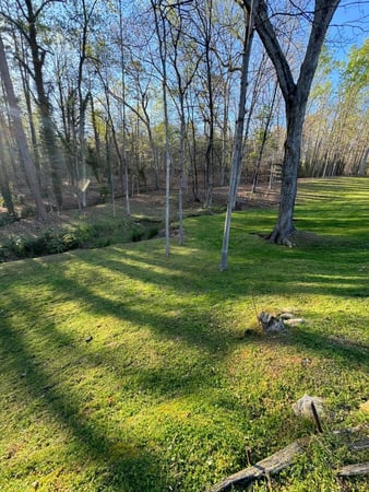 Images Beltran's Lawn Care, LLC