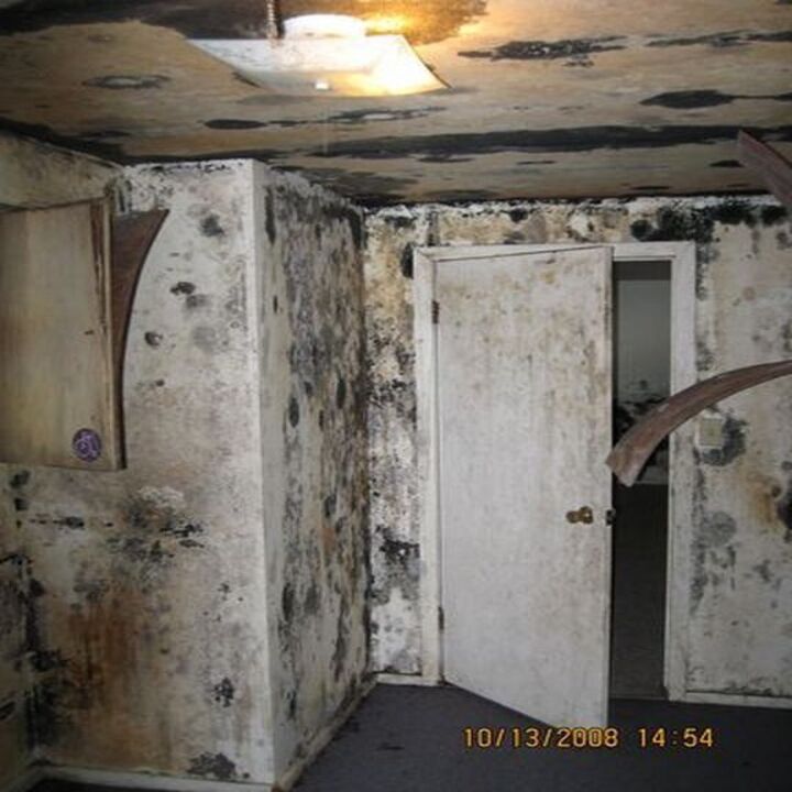 Images A-1 Mold Testing & Remediation Services