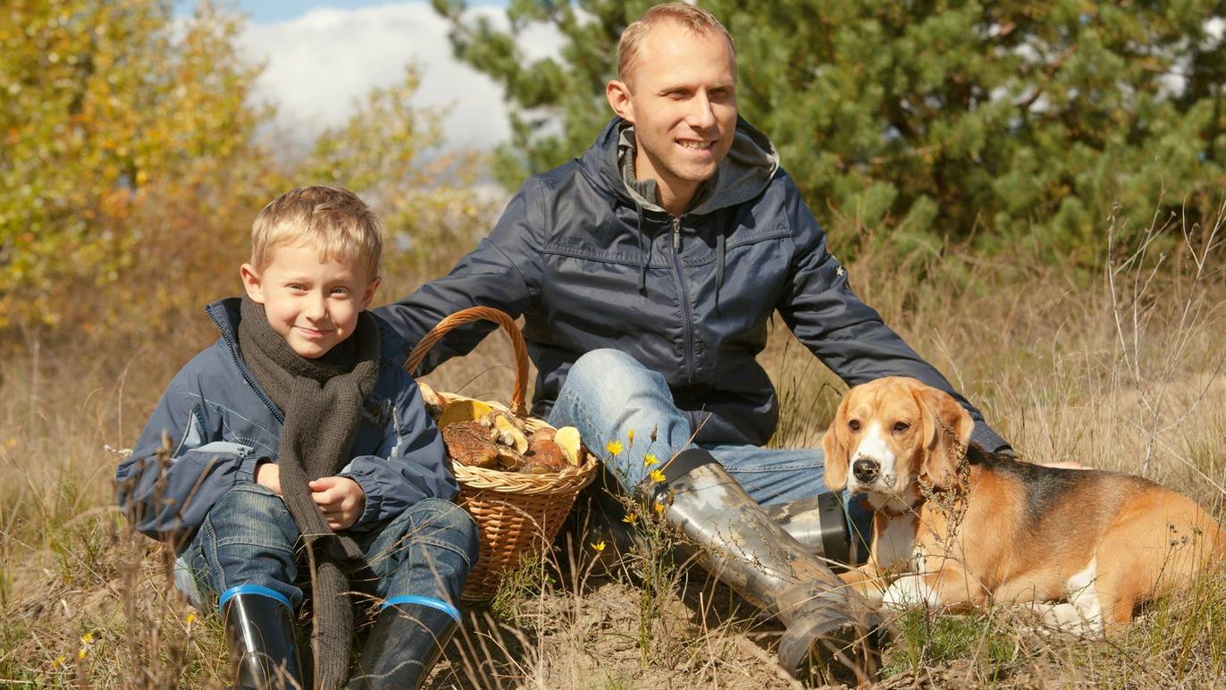 Images Dyreklinikken Viby Sjælland