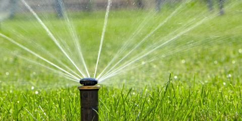 Why You Should Winterize Your Irrigation System Sharp Lawn Inc. Nicholasville (859)253-6688